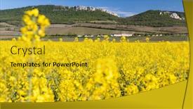  Presentation with czech republic - Cool new presentation theme with oilseed-rape-palava-southern-moravia backdrop and a gold colored foreground