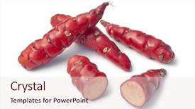 Presentation with new zealand - PPT layouts with okab - fresh red new zealand yams background and a  colored foreground