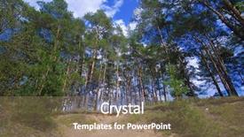  Presentation with school safety skate in summer - Amazing theme having okab - landscape with the image backdrop and a  colored foreground