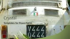  Presentation with ferns - 