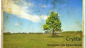  Presentation with aging - Beautiful presentation theme featuring old age theme - aging photography backdrop and a gold colored foreground