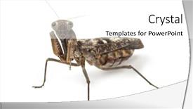  Presentation with old man and music - Presentation theme having old and blind female praying background and a  colored foreground