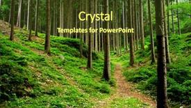  Presentation with dark forest - Presentation enhanced with old and dark forest czech background and a tawny brown colored foreground