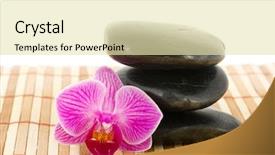  Presentation with old photo - Cool new PPT theme with old antique photo camera isolated over white background backdrop and a soft green colored foreground