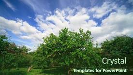  Presentation with orchard - Beautiful presentation theme featuring old-apple-orchard backdrop and a tawny brown colored foreground