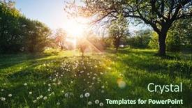  Presentation with agrarian - Slide set consisting of old-apple-orchard background and a tawny brown colored foreground