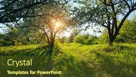  Presentation with agrarian - PPT theme with old-apple-orchard background and a tawny brown colored foreground