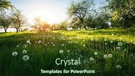  Presentation with agrarian - Slide set featuring old-apple-orchard background and a tawny brown colored foreground