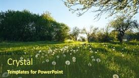  Presentation with agrarian - Presentation theme consisting of old-apple-orchard background and a tawny brown colored foreground