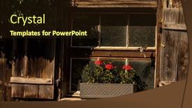  Presentation with barn - PPT layouts enhanced with old-barn-with-lovely-flowers background and a wine colored foreground