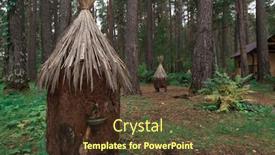  Presentation with bee hive - Audience pleasing slide set consisting of old bee-hive in the summer forest backdrop and a tawny brown colored foreground