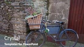  Presentation with bicycle - Presentation theme with old-bicycle-with-basket background and a dark gray colored foreground