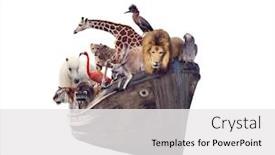  Presentation with animals - Colorful slides enhanced with old-boat-with-wild-animals backdrop and a white colored foreground