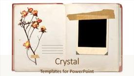  Presentation with memory book - Audience pleasing slide set consisting of dollars paper car on envelope backdrop and a  colored foreground.