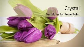  Presentation with memory book - Audience pleasing PPT layouts consisting of old book and purple tulips backdrop and a blonde colored foreground