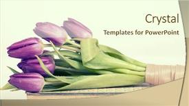  Presentation with feather and old book - Slide deck featuring old book and purple tulips background and a cream colored foreground