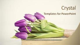  Presentation with old book - Amazing slide deck having old book and purple tulips backdrop and a cream colored foreground