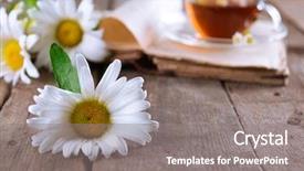  Presentation with old story book - Audience pleasing PPT layouts consisting of old book with beautiful flowers backdrop and a  colored foreground