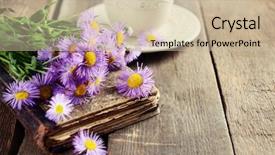 Presentation with feather and old book - Cool new theme with old book with beautiful flowers backdrop and a soft green colored foreground