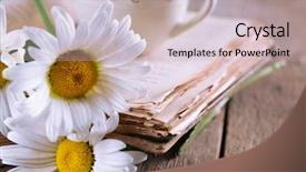  Presentation with old book - Slide set featuring old book with beautiful flowers background and a  colored foreground