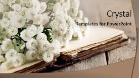  Presentation with old book - Slide deck enhanced with old book with beautiful flowers background and a  colored foreground