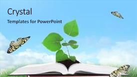  Presentation with old book - Amazing PPT theme having old book with butterflies outdoors backdrop and a arctic colored foreground