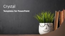  Presentation with plant - Slide deck consisting of old-books-and-potted-plant background and a dark gray colored foreground