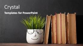  Presentation with plant - PPT theme featuring old-books-and-potted-plant background and a dark gray colored foreground