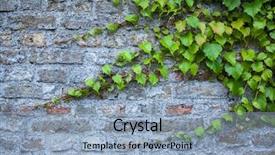  Presentation with brick wall - Presentation enhanced with old brick wall with green background and a light blue colored foreground