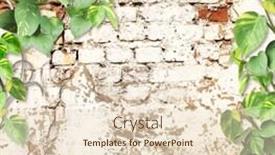  Presentation with liana - Amazing presentation design having old-brick-wall-with-liana backdrop and a lemonade colored foreground