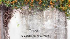  Presentation with old china - Beautiful slide deck featuring old-cement-wall-with-green backdrop and a light gray colored foreground