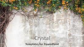  Presentation with old china - PPT theme with old-cement-wall-with-green background and a light gray colored foreground