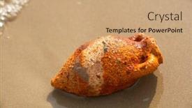  Presentation with seashore - Colorful theme enhanced with old-clay-amphora-at-seashore backdrop and a coral colored foreground