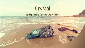  Presentation with crab and shells - Presentation consisting of old crab cage with foam background and a cream colored foreground