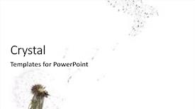  Presentation with white dove - Slide set featuring old dandelion and dove background and a white colored foreground