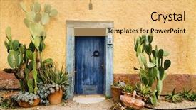  Presentation with plants - Presentation design enhanced with old doorway surrounded by cactus background and a yellow colored foreground