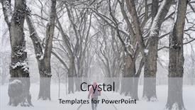  Presentation with blizzard - Cool new PPT layouts with old elm trees - historical oval backdrop and a light gray colored foreground