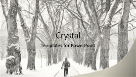  Presentation with digital university - Slide set having old elm trees - historical oval background and a light gray colored foreground