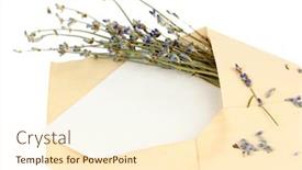 Presentation with envelope - Amazing PPT theme having old envelope with blank paper and lavender isolated on white backdrop and a cream colored foreground