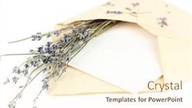  Presentation with envelope - Slide deck having old envelope with blank paper and lavender isolated on white background and a cream colored foreground