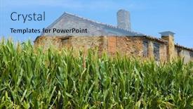  Presentation with farm house - Slide deck featuring old-farm-house-in-rovigo background and a light blue colored foreground