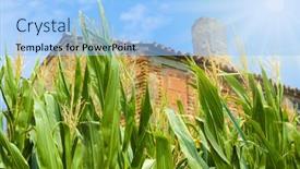  Presentation with farm house - Theme featuring old-farm-house-in-rovigo background and a light blue colored foreground