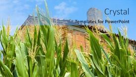  Presentation with farm house - Cool new slides with old-farm-house-in-rovigo backdrop and a light blue colored foreground