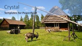  Presentation with goat farm - 