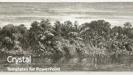  Presentation with river forest - Slide set featuring old fashioned america - virgin forest on amazon river background and a gray colored foreground