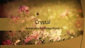  Presentation with artistic - Presentation theme with old-fashioned artistic flower background and a gold colored foreground