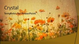  Presentation with artistic - Audience pleasing presentation design consisting of old-fashioned artistic flower backdrop and a yellow colored foreground