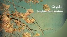  Presentation with flower vintage - Audience pleasing presentation theme consisting of old-fashioned artistic flower backdrop and a gray colored foreground