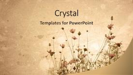  Presentation with old fashioned - Beautiful presentation featuring old-fashioned artistic flower backdrop and a lemonade colored foreground