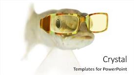  Presentation with wearing swimming goggles and cap - Presentation theme enhanced with  background and a  colored foreground